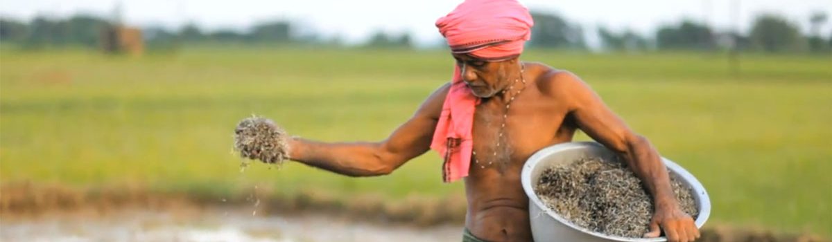 Natabar Sarangi – The Source